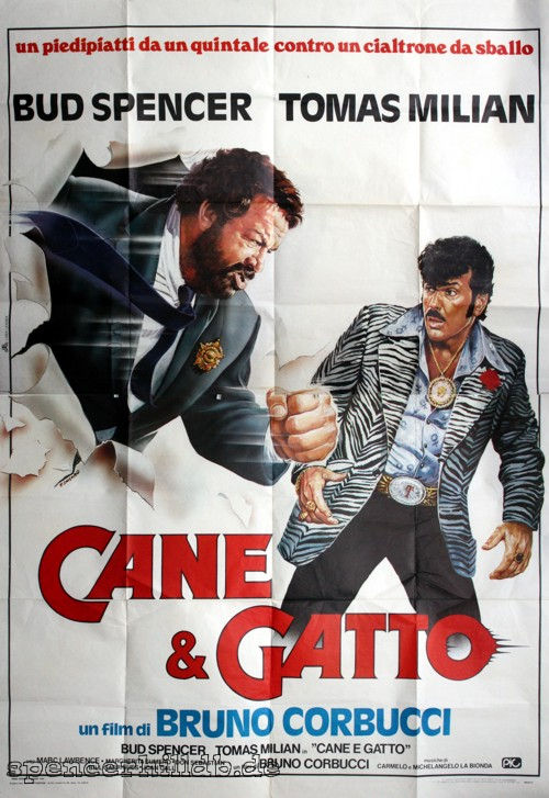 Cane & Gatto