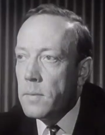 Die geliehene Stimme - Werdegang einer Film-Sychronisation (1965)