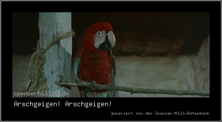 Arschgeigen! Arschgeigen!