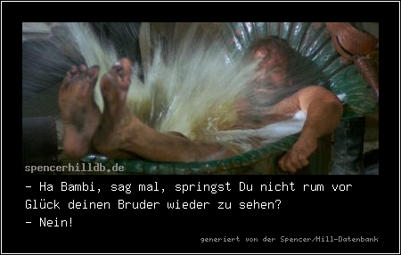 - Ha Bambi, sag mal, springst Du nicht rum vor Glück deinen Bruder wieder zu sehen?
- Nein!